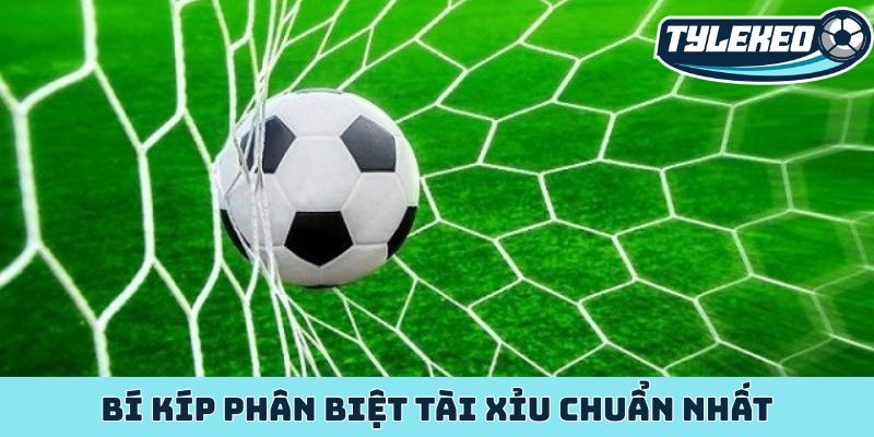 Bí kíp phân biệt tài xỉu chuẩn nhất