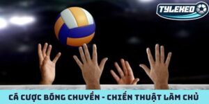 Cá cược bóng chuyền