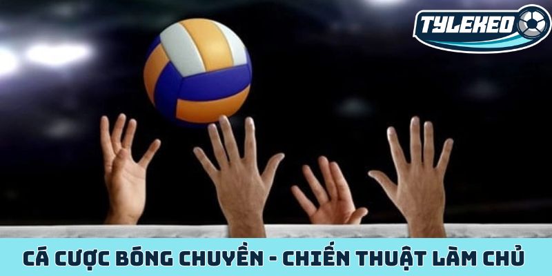 Cá cược bóng chuyền - Chiến thuật làm chủ trận đấu toàn diện 1 Cá cược bóng chuyền