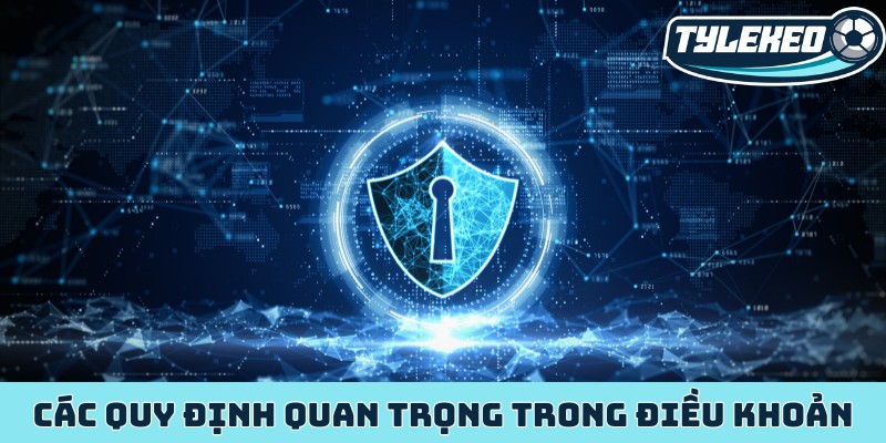Các quy định quan trọng cụ thể trong điều khoản