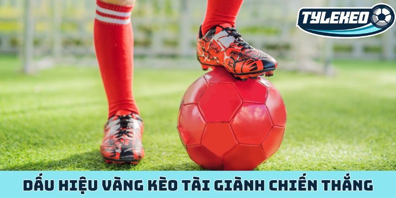 Kèo tổng số bàn thắng - Chiến lược làm giàu từ kèo Tài Xỉu 2 Dấu hiệu vàng kèo tài giành chiến thắng