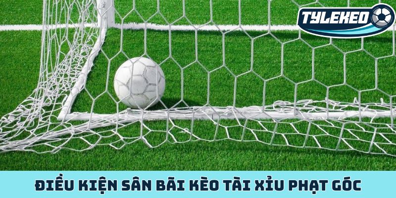Kèo tài xỉu phạt góc kho báu ẩn giấu trong từng quả phạt 1 Điều kiện sân bãi kèo tài xỉu phạt góc