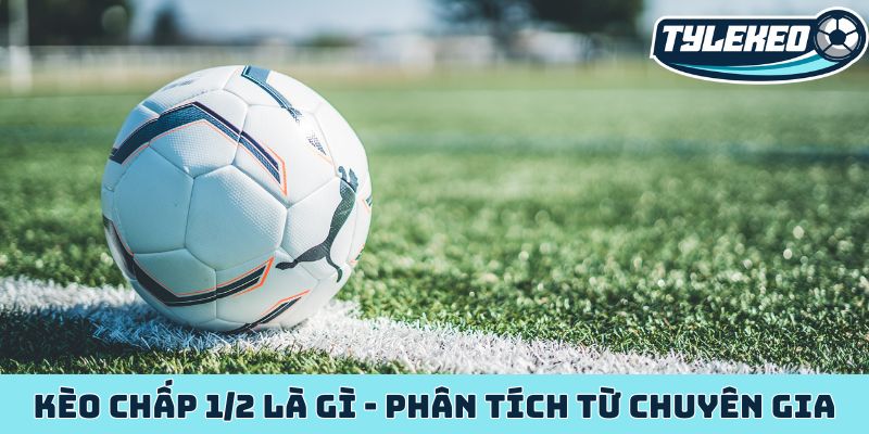 Kèo chấp 1/2 là gì - Phân tích cơ bản từ góc độ chuyên gia 1 Kèo chấp 1-2