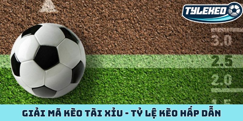 Giải mã kèo tài xỉu - Tỷ lệ kèo hấp dẫn không thể bỏ qua 4 kèo tài xỉu