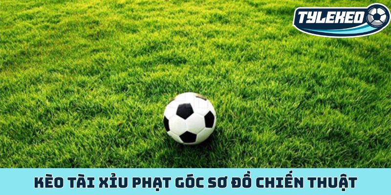 Kèo tài xỉu phạt góc kho báu ẩn giấu trong từng quả phạt 3 Kèo tài xỉu phạt góc sơ đồ chiến thuật