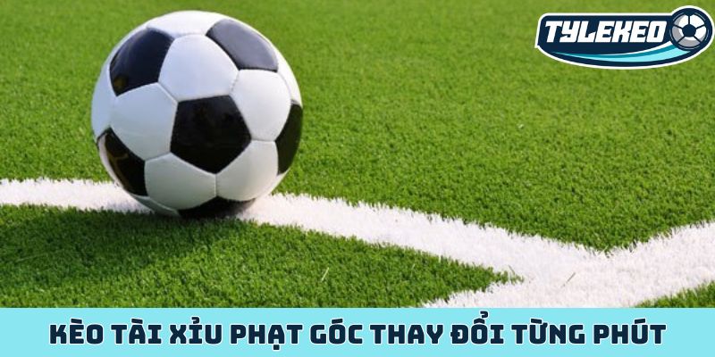 Kèo tài xỉu phạt góc kho báu ẩn giấu trong từng quả phạt 2 Kèo tài xỉu phạt góc thay đổi từng phút