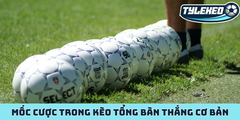 Kèo tổng số bàn thắng - Chiến lược làm giàu từ kèo Tài Xỉu 1 Mốc cược trong kèo tổng bàn thắng cơ bản
