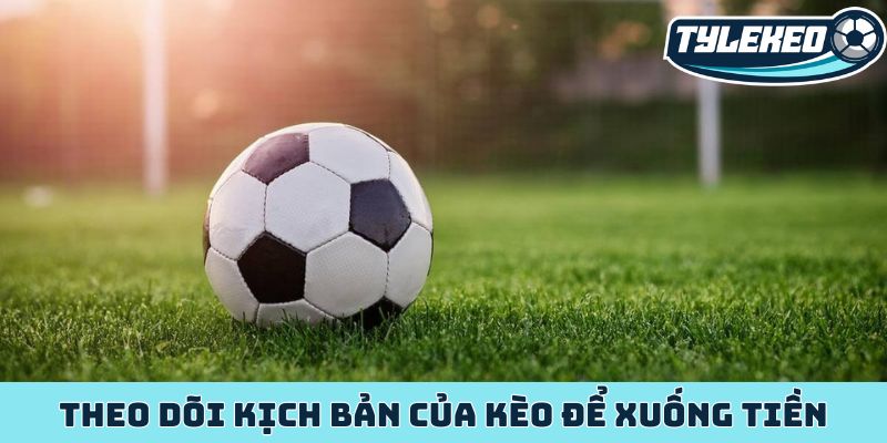 Theo dõi kịch bản của kèo để xuống tiền