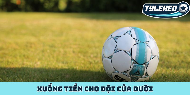 Xuống tiền cho đội cửa dưới