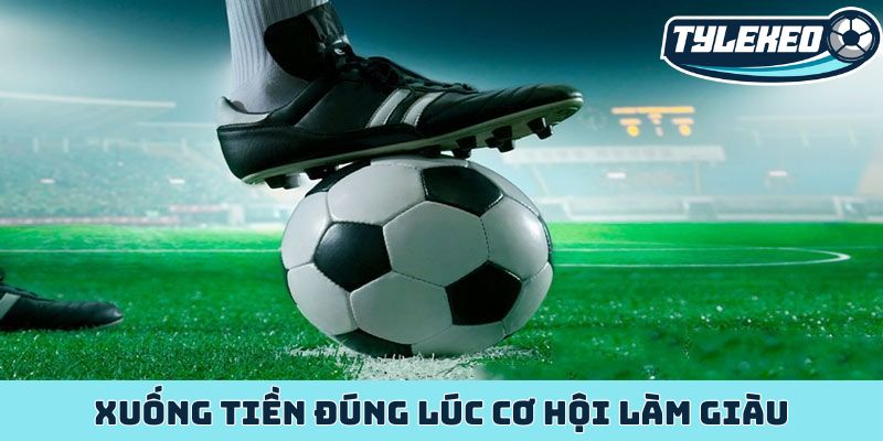 Xuống tiền đúng lúc cơ hội làm giàu