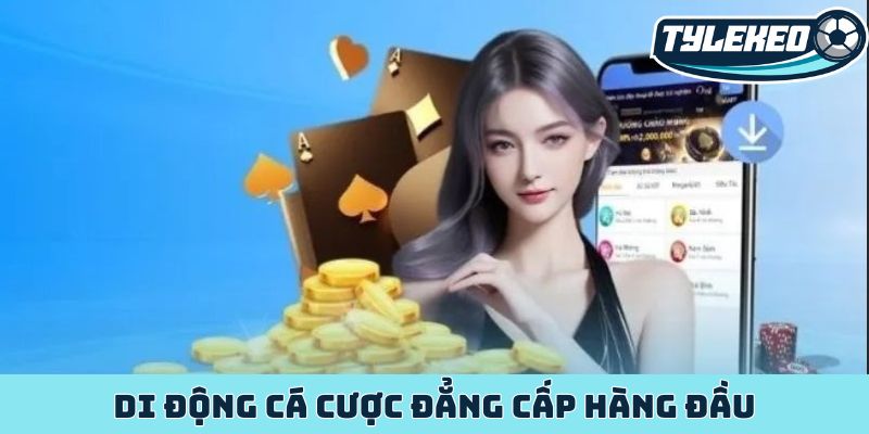 Di động cá cược đẳng cấp hàng đầu